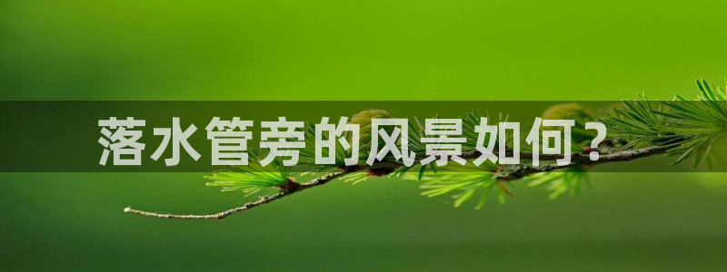 天辰娱乐平台入口