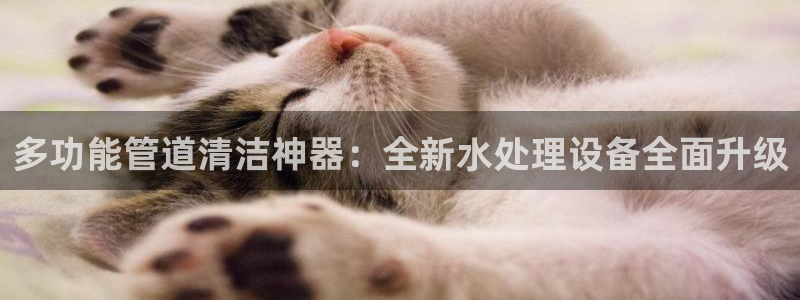手机上怎么下载天辰娱乐