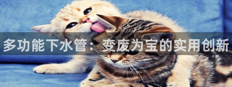 哈尔滨天辰娱乐
