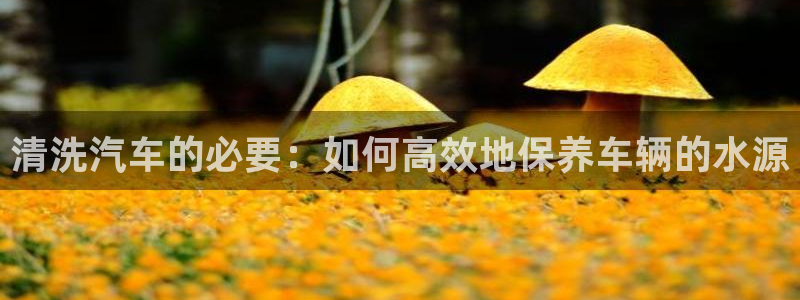南充天辰娱乐