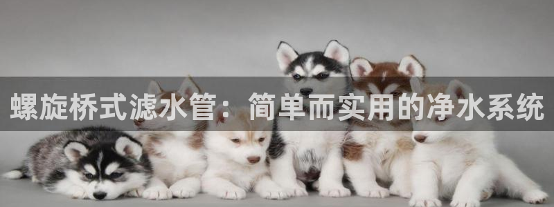天辰娱乐小妹