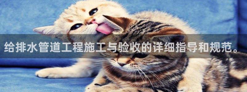 天辰娱乐tff
