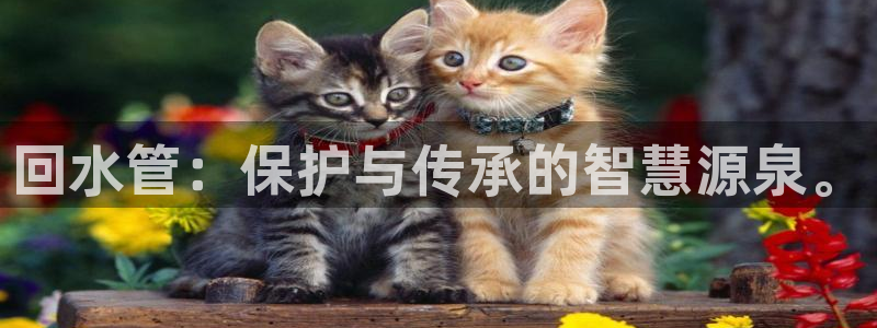 天辰娱乐957807