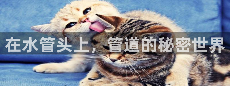 天富娱乐与天辰娱乐