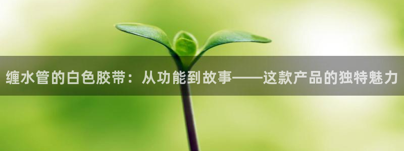 天辰娱乐官网平台入口