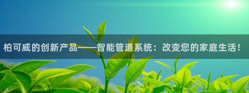 天辰娱乐 主管