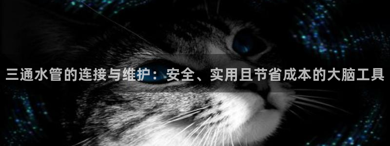 天辰娱乐 849852