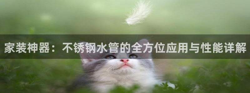 天辰娱乐平台地址在哪里
