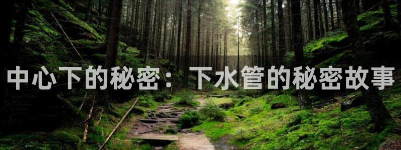 天辰娱乐咋样
