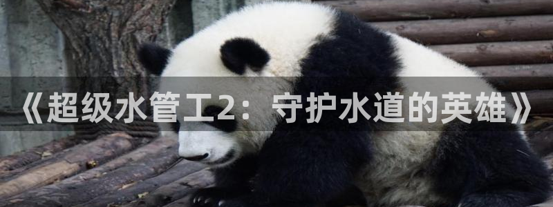 天辰娱乐 主管