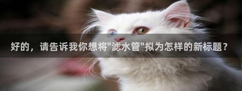 天辰娱乐客服