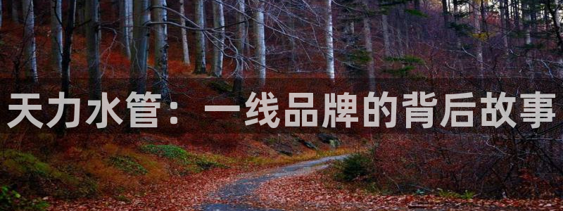 天辰娱乐 . 鱼刺