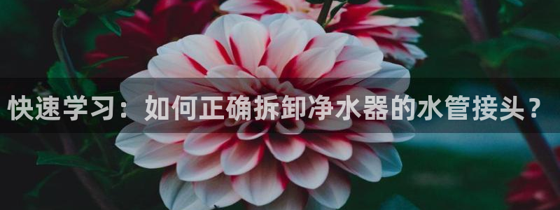 天辰娱乐总管年薪