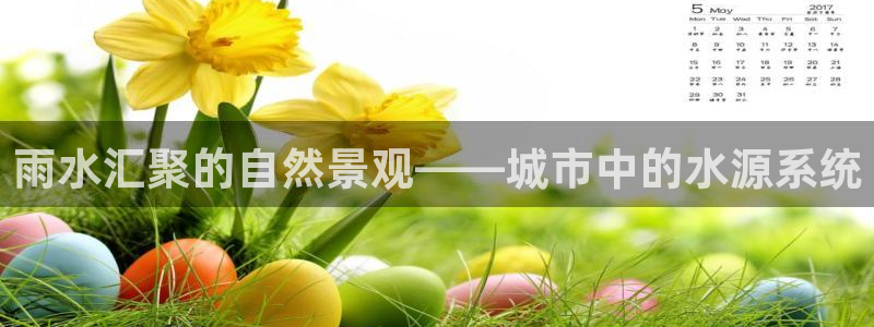 天辰娱乐输了