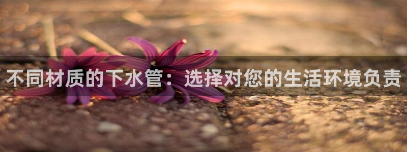 天辰娱乐传媒