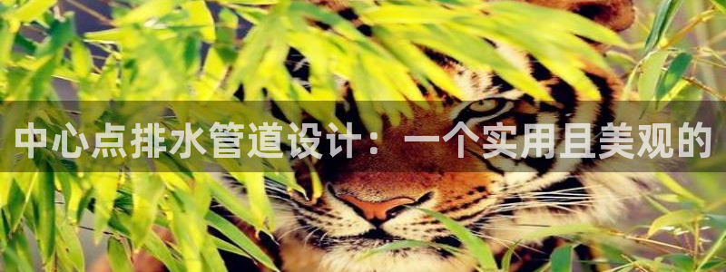 集宁天辰娱乐