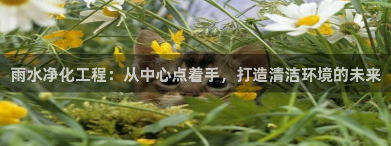 天辰娱乐下载