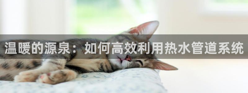 天辰娱乐小姐