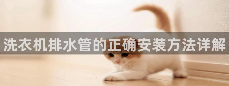天辰娱乐卡