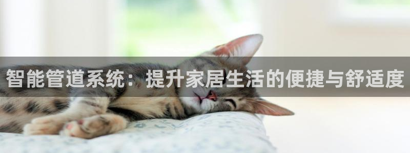 天辰娱乐下载地址