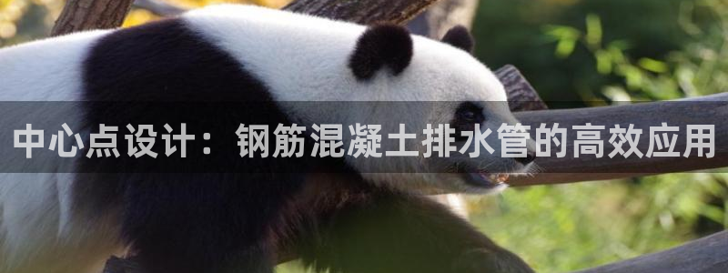 天富娱乐与天辰娱乐