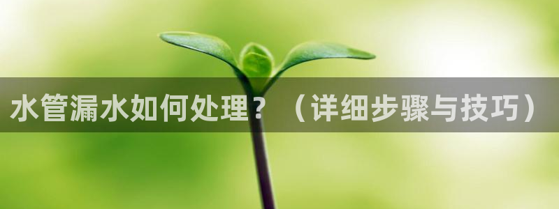 天辰娱乐内部