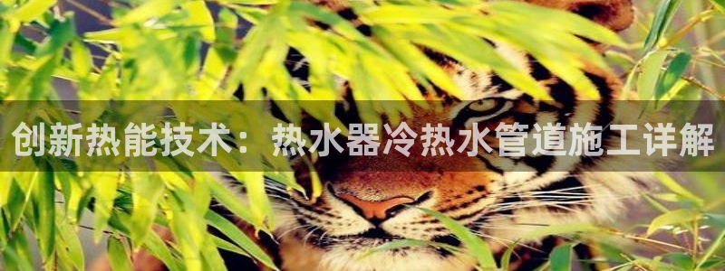 天辰娱乐直属
