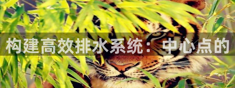 天辰娱乐网址娱乐游戏