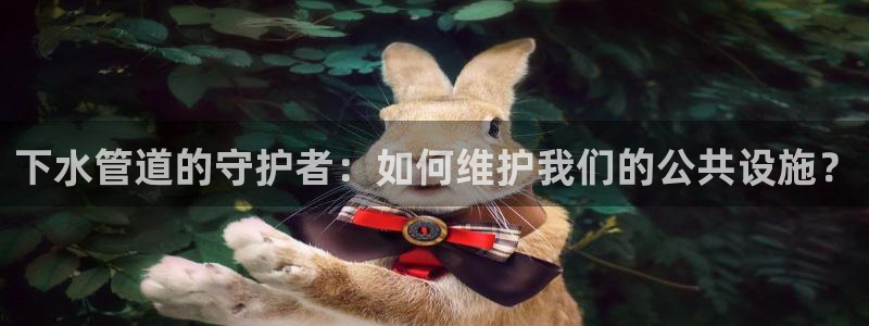 菲律宾天辰娱乐