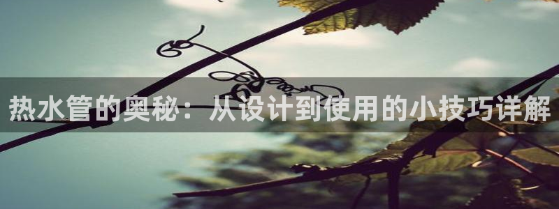 天辰娱乐鱼刺