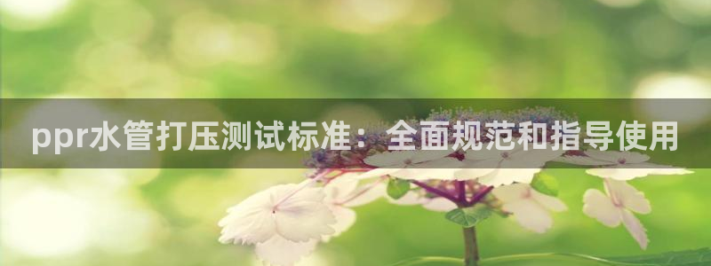 天辰娱乐61116
