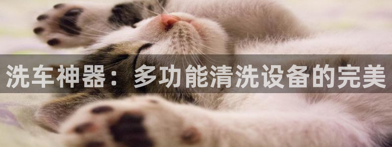 菲律宾天辰娱乐
