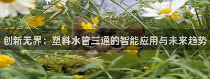 天辰娱乐反水