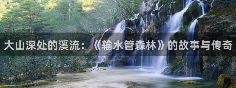 天辰娱乐视频