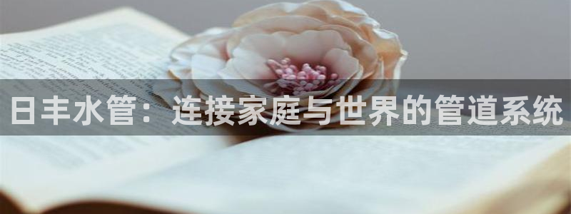 天辰娱乐_675138