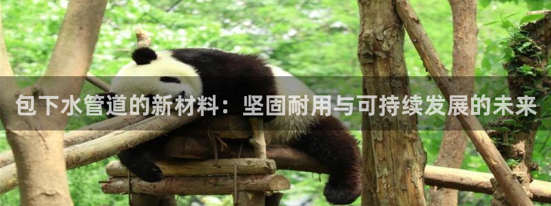 天辰娱乐十分彩