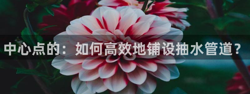 天辰娱乐输了