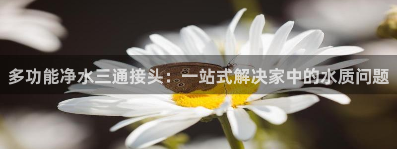 天辰娱乐地址