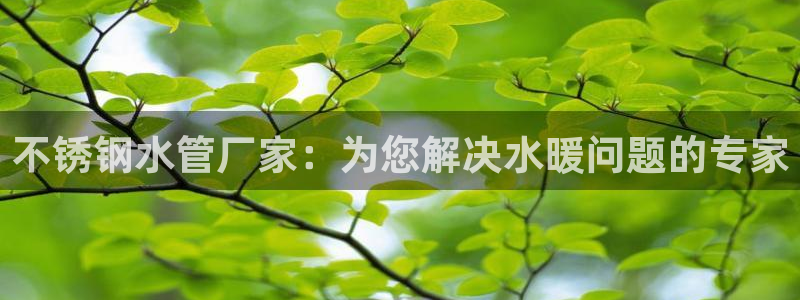 天辰娱乐简介