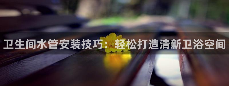 天辰娱乐小姐