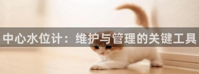 天辰彩票娱乐