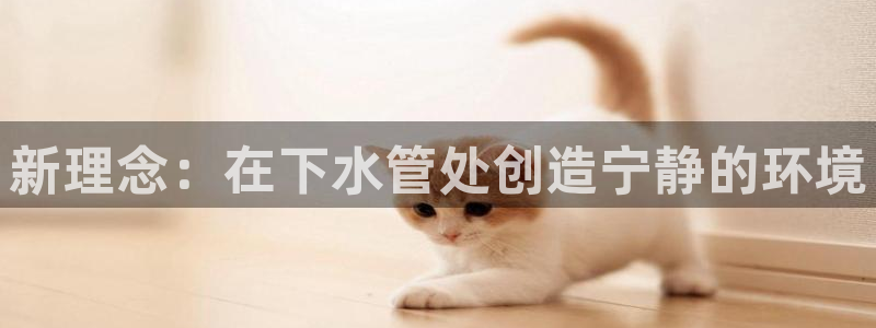 天辰宝宝娱乐
