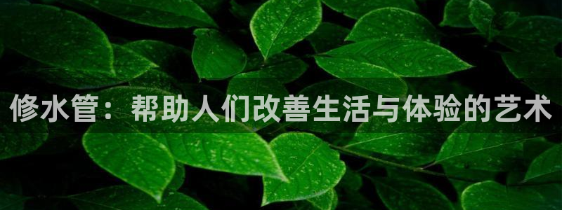 天辰娱乐
