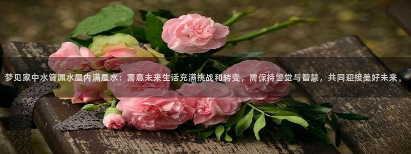 天辰娱乐线路