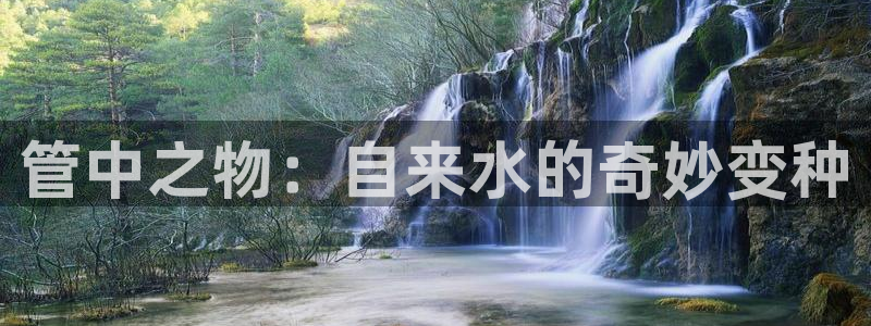 天辰娱乐平台