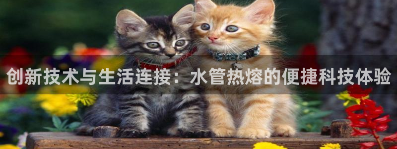 天辰娱乐文案