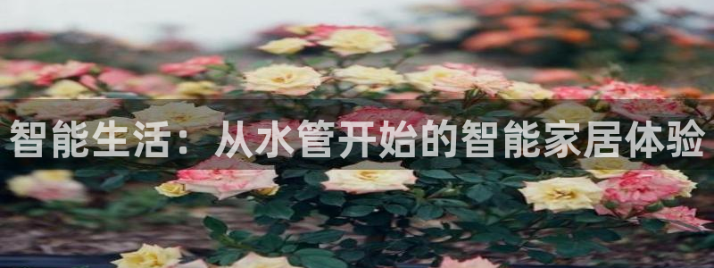 天辰娱乐论坛
