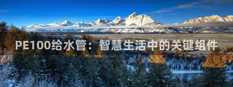 天辰娱乐公司
