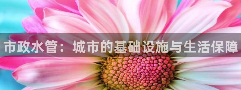 天富娱乐与天辰娱乐