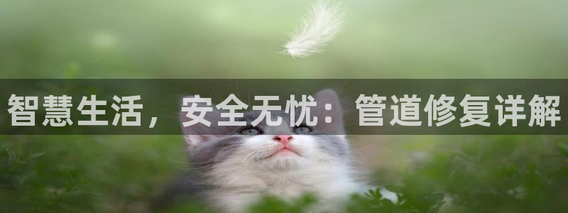 天辰娱乐黑人
